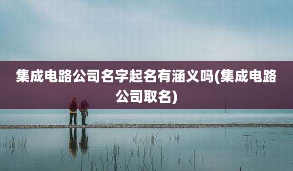 集成电路公司名字起名有涵义吗(集成电路公司取名)