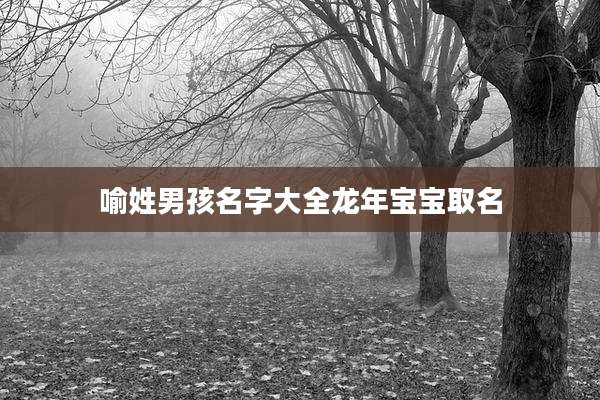 喻姓男孩名字大全龙年宝宝取名