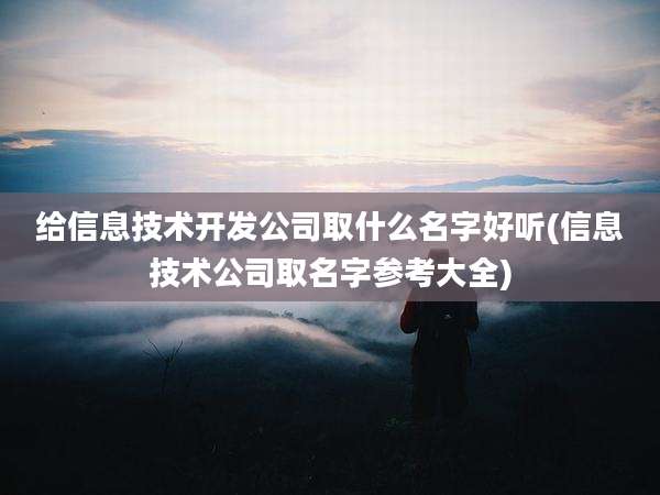 给信息技术开发公司取什么名字好听(信息技术公司取名字参考大全)