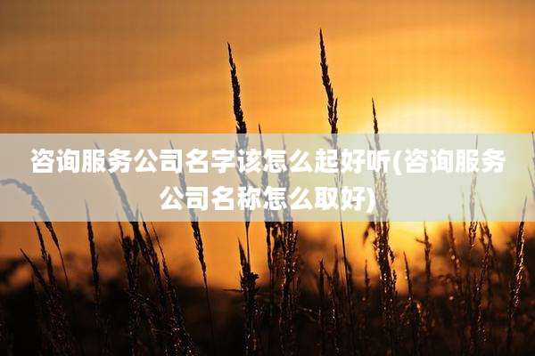 咨询服务公司名字该怎么起好听(咨询服务公司名称怎么取好)