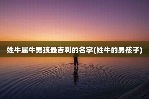姓牛属牛男孩最吉利的名字(姓牛的男孩子)