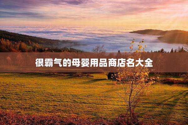 很霸气的母婴用品商店名大全