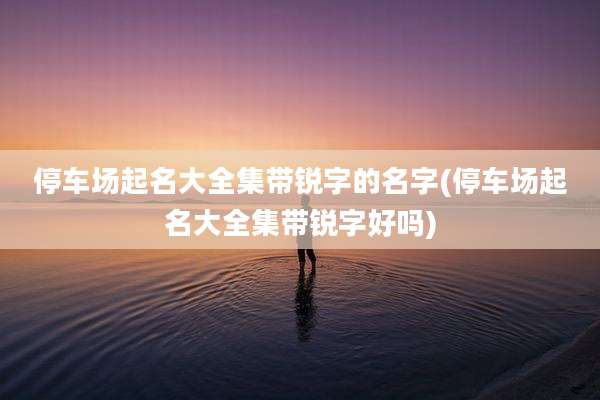 停车场起名大全集带锐字的名字(停车场起名大全集带锐字好吗)