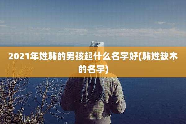 2021年姓韩的男孩起什么名字好(韩姓缺木的名字)