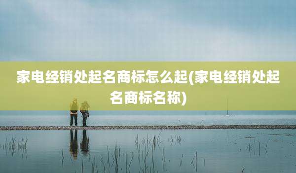 家电经销处起名商标怎么起(家电经销处起名商标名称)