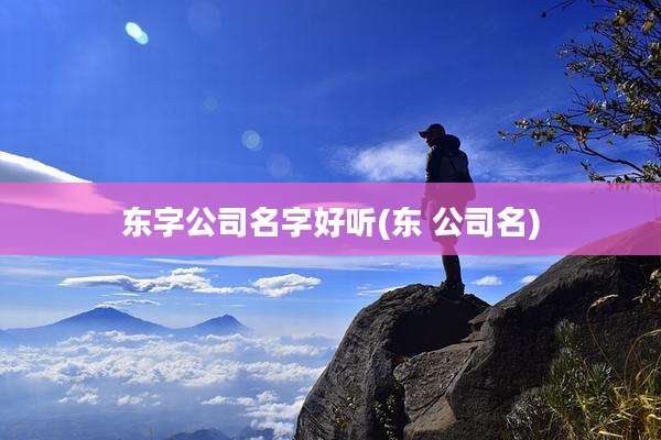 东字公司名字好听(东 公司名)