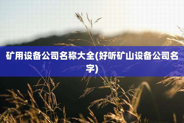 矿用设备公司名称大全(好听矿山设备公司名字)