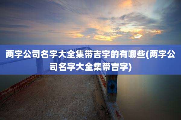 两字公司名字大全集带吉字的有哪些(两字公司名字大全集带吉字)