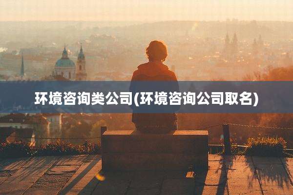 环境咨询类公司(环境咨询公司取名)