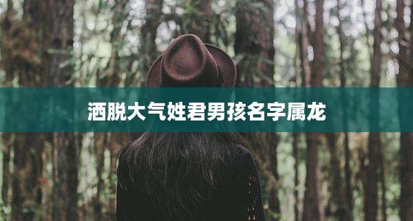 洒脱大气姓君男孩名字属龙