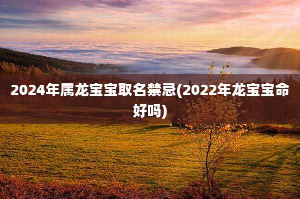 2024年属龙宝宝取名禁忌(2022年龙宝宝命好吗)