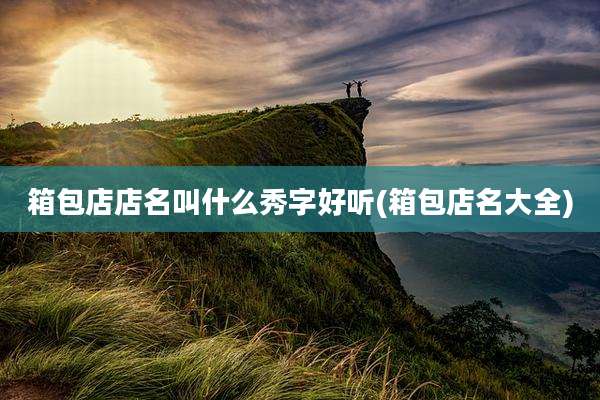 箱包店店名叫什么秀字好听(箱包店名大全)