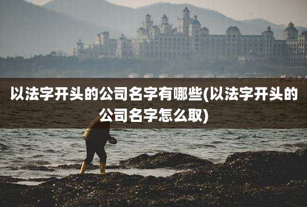 以法字开头的公司名字有哪些(以法字开头的公司名字怎么取)