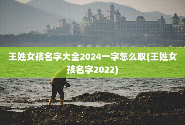 王姓女孩名字大全2024一字怎么取(王姓女孩名字2022)