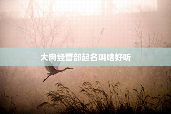 大肉经营部起名叫啥好听