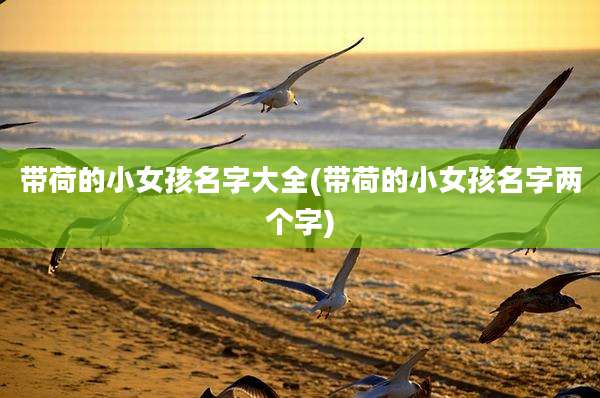带荷的小女孩名字大全(带荷的小女孩名字两个字)