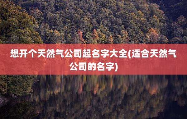 想开个天然气公司起名字大全(适合天然气公司的名字)