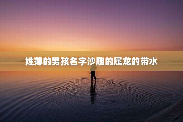 姓薄的男孩名字沙雕的属龙的带水