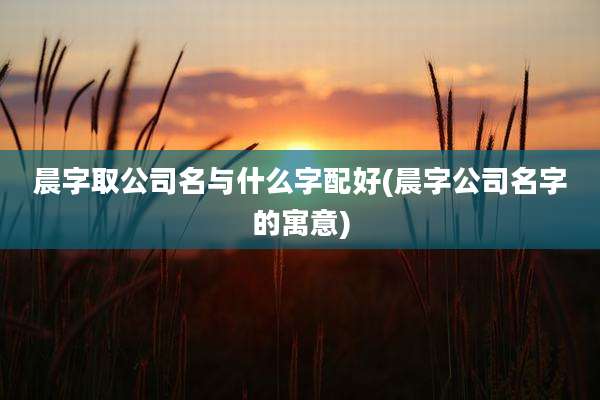 晨字取公司名与什么字配好(晨字公司名字的寓意)