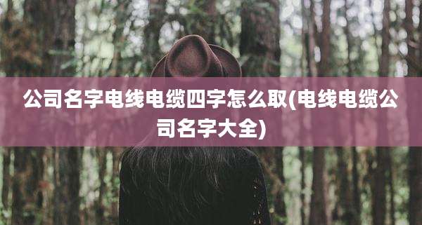 公司名字电线电缆四字怎么取(电线电缆公司名字大全)