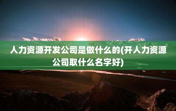 人力资源开发公司是做什么的(开人力资源公司取什么名字好)