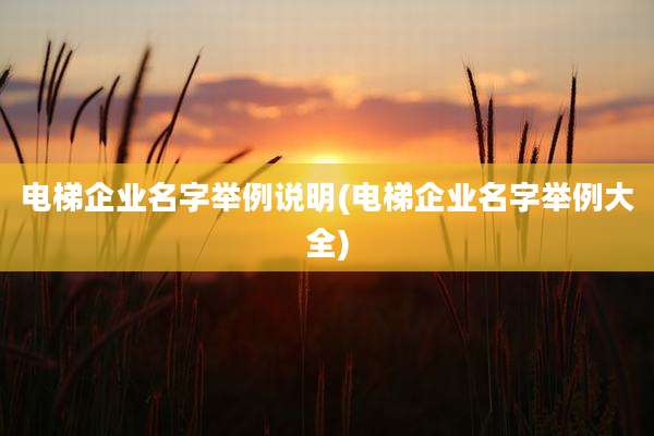 电梯企业名字举例说明(电梯企业名字举例大全)