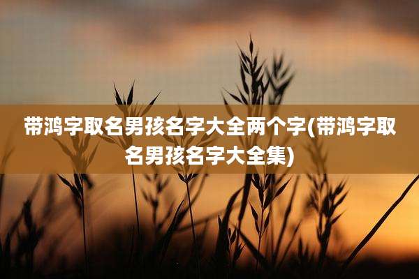 带鸿字取名男孩名字大全两个字(带鸿字取名男孩名字大全集)