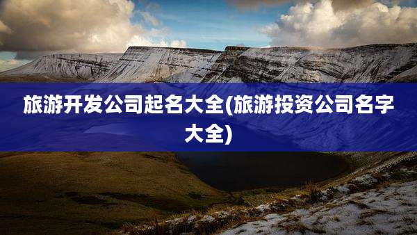 旅游开发公司起名大全(旅游投资公司名字大全)