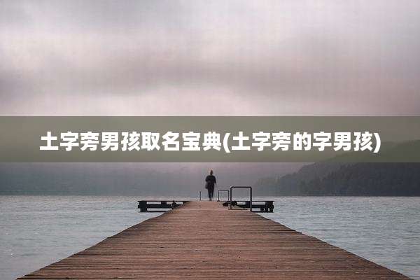 土字旁男孩取名宝典(土字旁的字男孩)