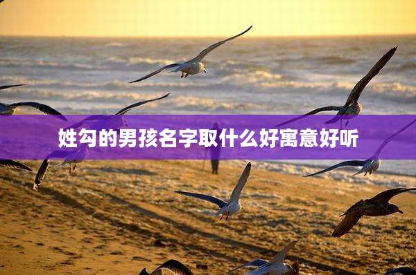 姓勾的男孩名字取什么好寓意好听