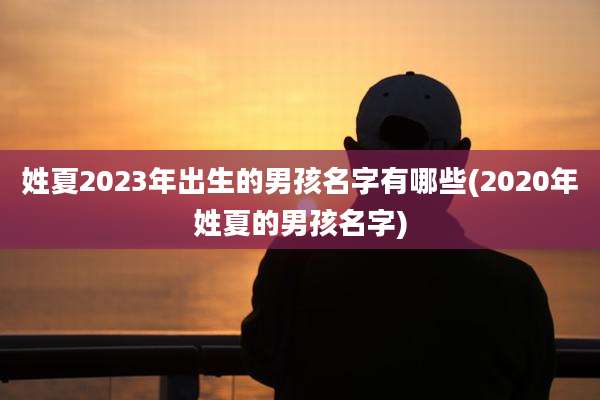 姓夏2023年出生的男孩名字有哪些(2020年姓夏的男孩名字)