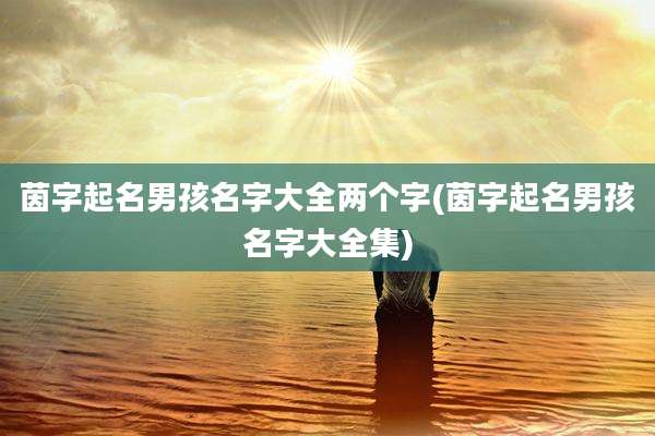茵字起名男孩名字大全两个字(茵字起名男孩名字大全集)