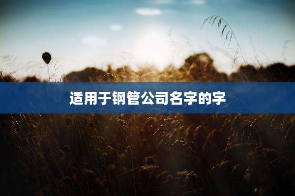 适用于钢管公司名字的字