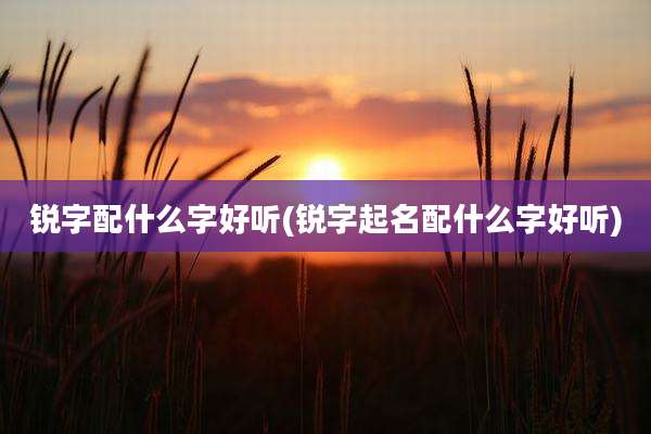 锐字配什么字好听(锐字起名配什么字好听)
