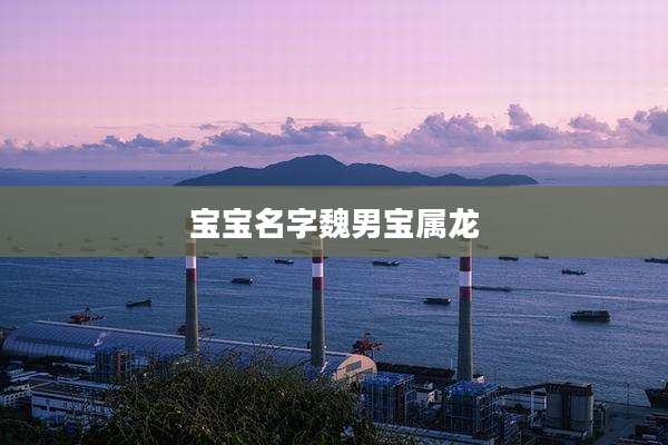宝宝名字魏男宝属龙
