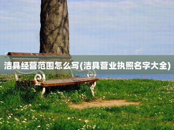 洁具经营范围怎么写(洁具营业执照名字大全)