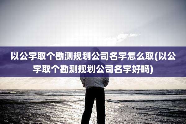 以公字取个勘测规划公司名字怎么取(以公字取个勘测规划公司名字好吗)