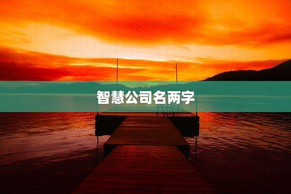 智慧公司名两字