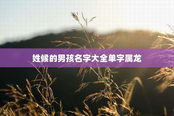 姓候的男孩名字大全单字属龙