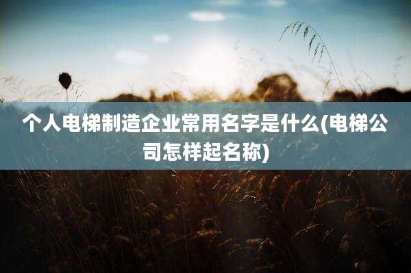 个人电梯制造企业常用名字是什么(电梯公司怎样起名称)