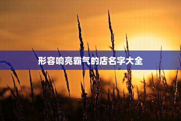 形容响亮霸气的店名字大全