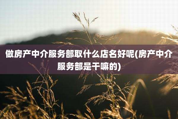 做房产中介服务部取什么店名好呢(房产中介服务部是干嘛的)