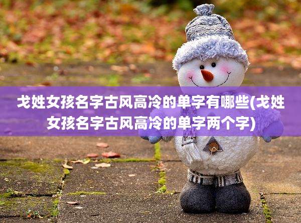 戈姓女孩名字古风高冷的单字有哪些(戈姓女孩名字古风高冷的单字两个字)