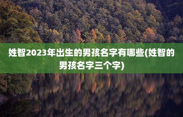 姓智2023年出生的男孩名字有哪些(姓智的男孩名字三个字)