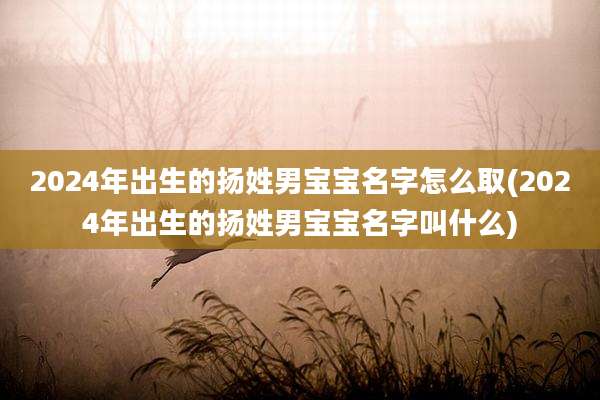 2024年出生的扬姓男宝宝名字怎么取(2024年出生的扬姓男宝宝名字叫什么)