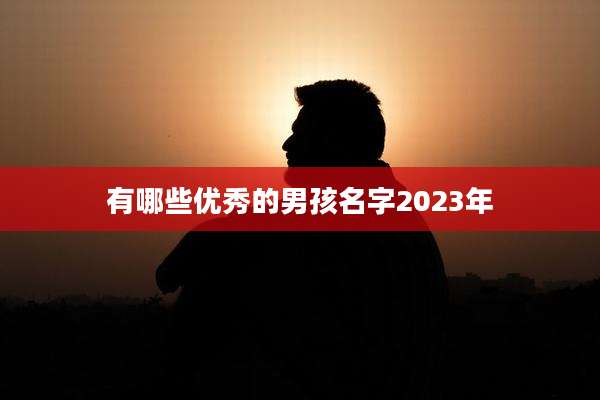 有哪些优秀的男孩名字2023年