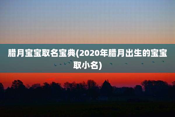 腊月宝宝取名宝典(2020年腊月出生的宝宝取小名)