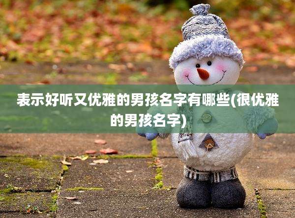 表示好听又优雅的男孩名字有哪些(很优雅的男孩名字)