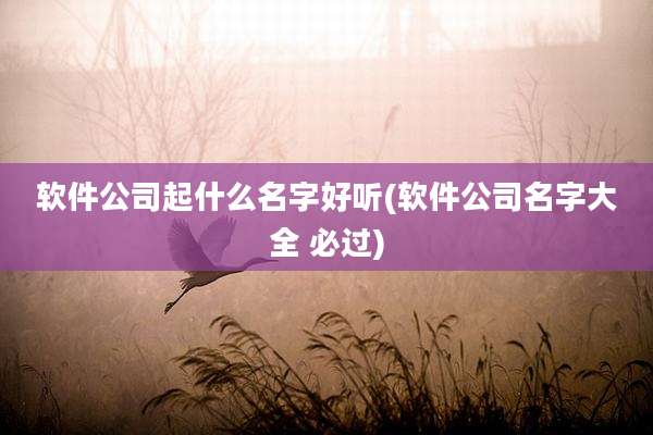 软件公司起什么名字好听(软件公司名字大全 必过)