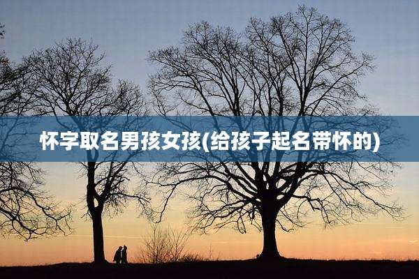 怀字取名男孩女孩(给孩子起名带怀的)
